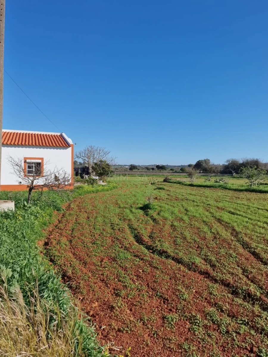 Moradia T1 para Venda em Odiaxere Foto 18
