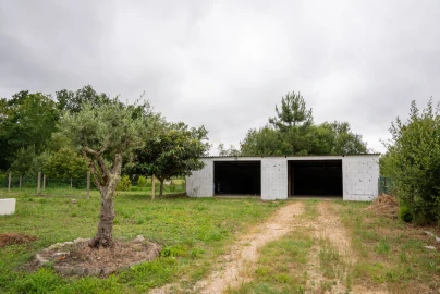 Moradia T3 para Venda em Fontoura