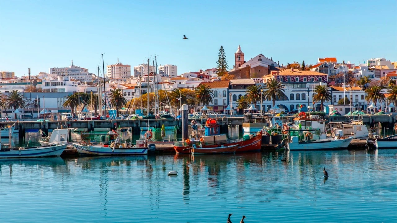 Loja para Cedência de Quotas em Lagos (São Sebastião e Santa Maria) Foto 8