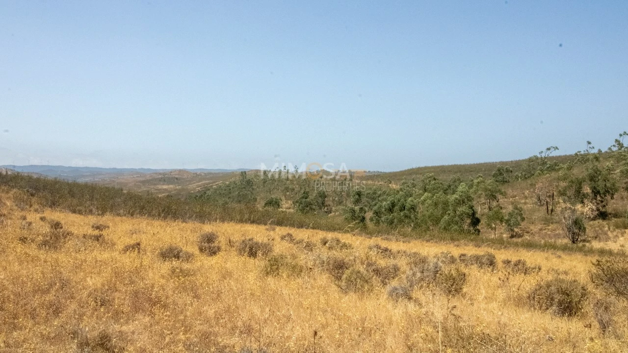 Terreno para Venda em Bensafrim e Barão de São João Foto 9