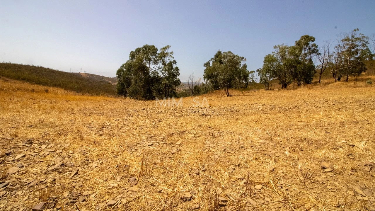 Terreno para Venda em Bensafrim e Barão de São João Foto 14