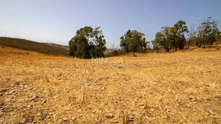Terreno para Venda em Bensafrim e Barão de São João Foto 14