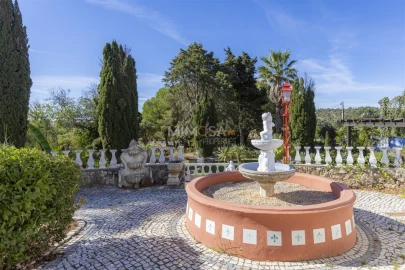 Quinta T14 para Venda em Odiaxere