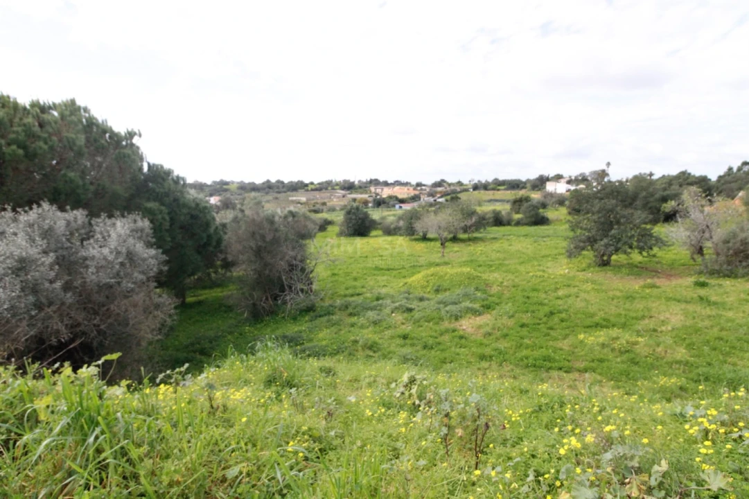 Terreno para Venda em Alvor Foto 8