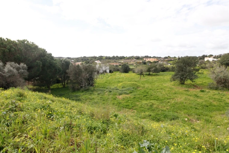 Terreno para Venda em Alvor Foto 10