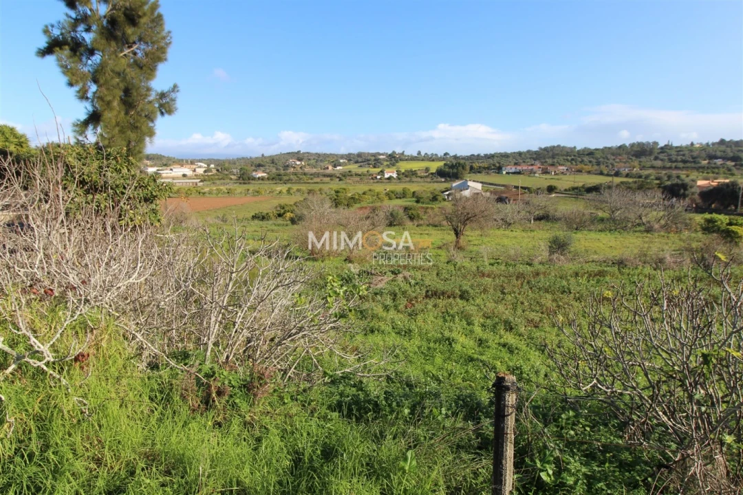 Terreno para Venda em Lagos (São Sebastião e Santa Maria) Foto 2