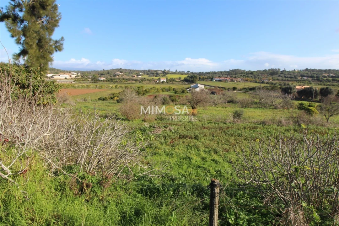 Terreno para Venda em Lagos (São Sebastião e Santa Maria) Foto 3