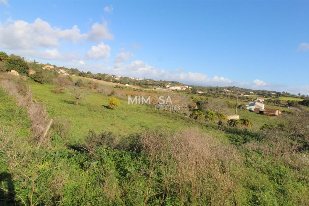 Terreno para Venda em Lagos (São Sebastião e Santa Maria) Foto 9