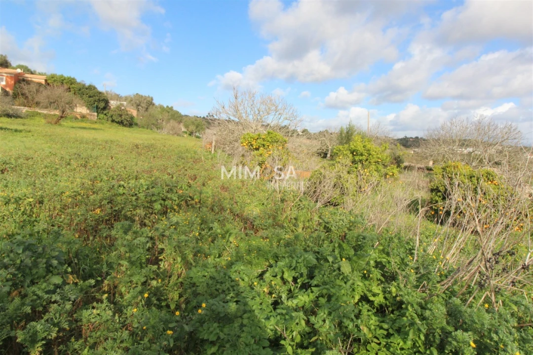 Terreno para Venda em Lagos (São Sebastião e Santa Maria) Foto 14