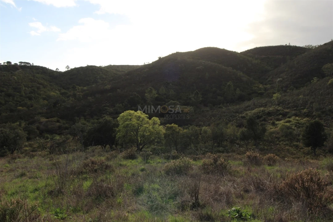 Quinta T4 para Venda em Aljezur Foto 22