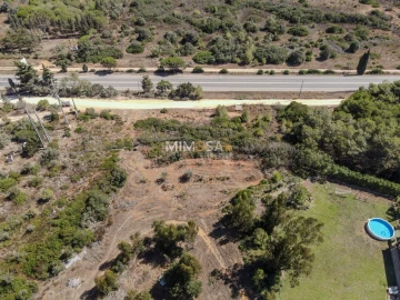 Terreno Agricola ou Rústico para Venda em Barão de São Miguel