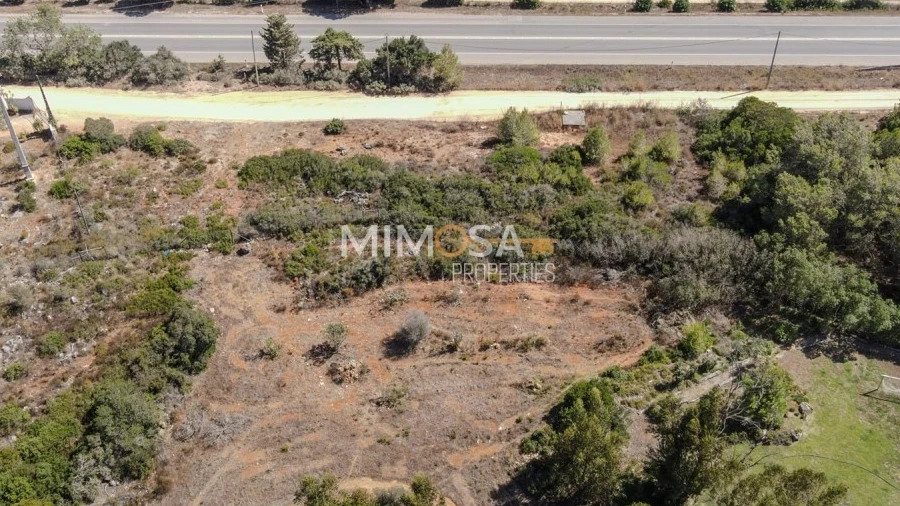 Terreno Agricola ou Rústico para Arrendamento em Barão de São Miguel