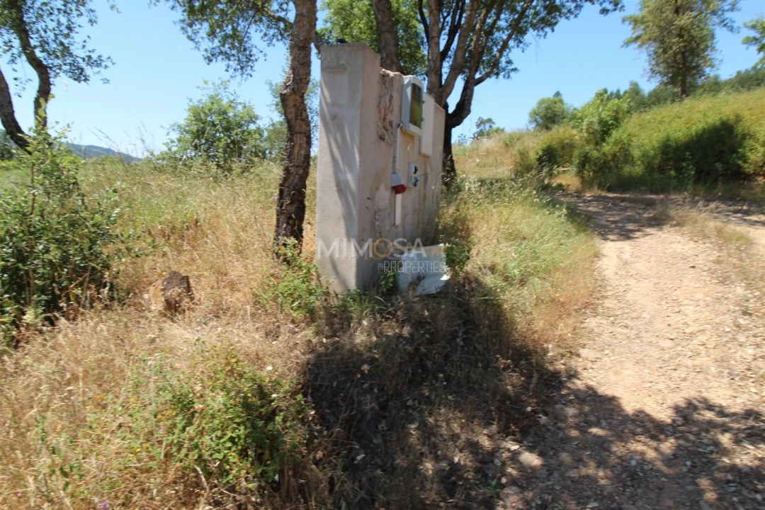 Terreno Misto para Venda em Alferce Foto 4