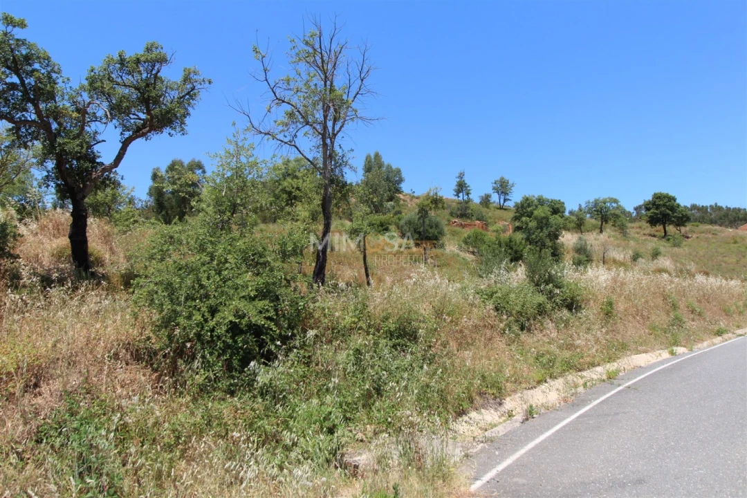 Terreno Misto para Venda em Alferce Foto 5