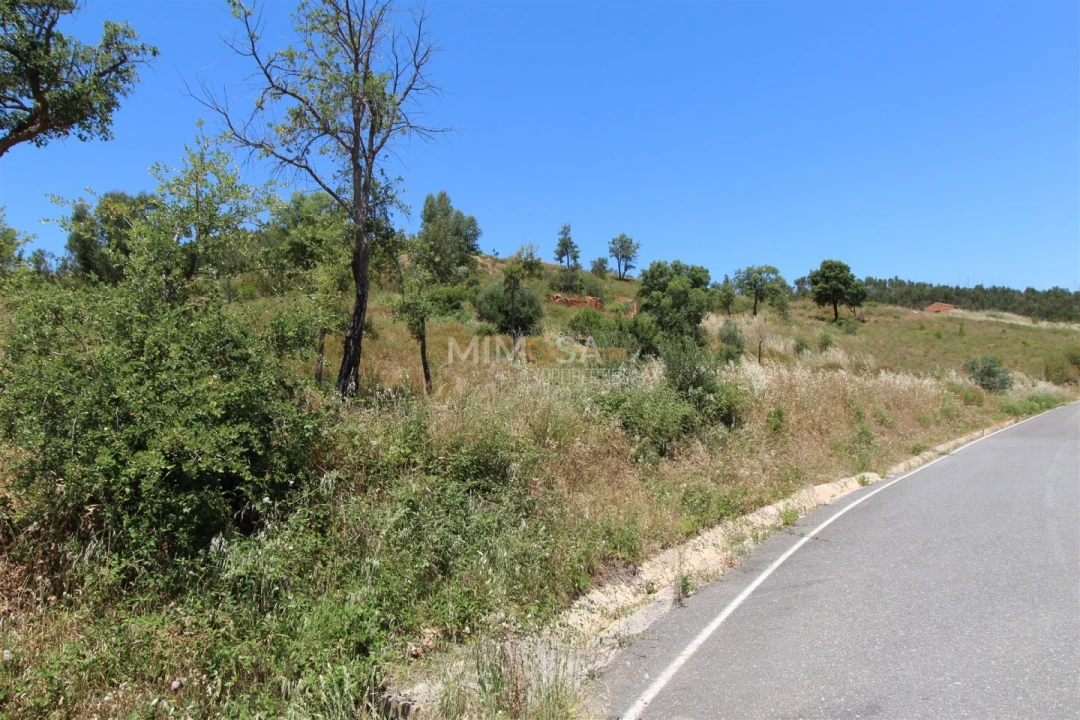 Terreno Misto para Venda em Alferce Foto 6