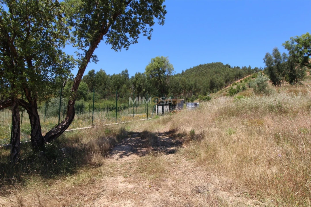 Terreno Misto para Venda em Alferce Foto 8