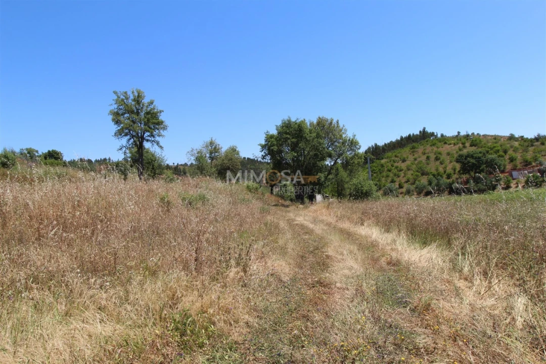 Terreno Misto para Venda em Alferce Foto 12