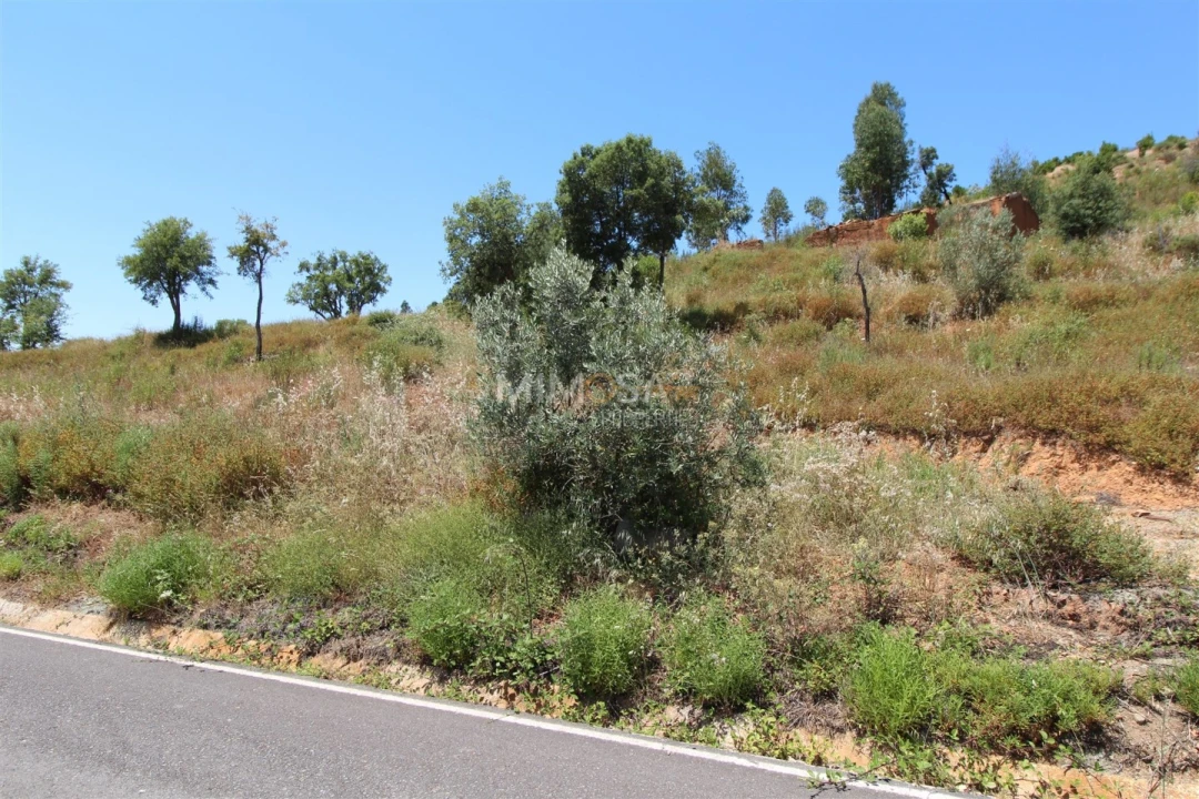 Terreno Misto para Venda em Alferce Foto 17