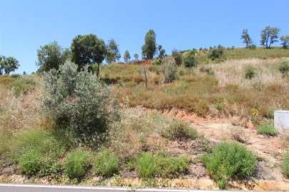 Terreno Misto para Venda em Alferce