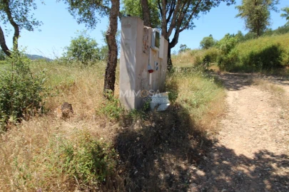 Terreno Misto para Venda em Alferce