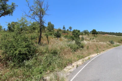 Terreno Misto para Venda em Alferce