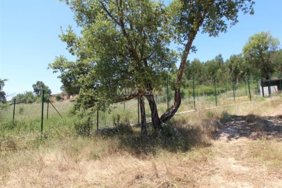 Terreno Misto para Venda em Alferce