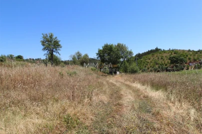 Terreno Misto para Venda em Alferce
