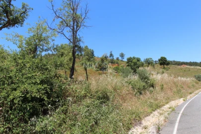 Terreno Misto para Venda em Alferce