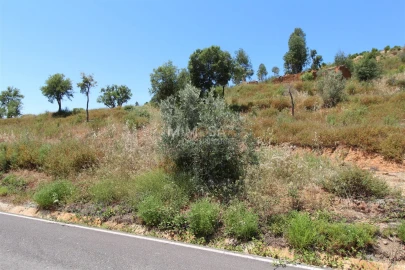 Terreno Misto para Venda em Alferce
