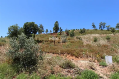 Terreno Misto para Venda em Alferce