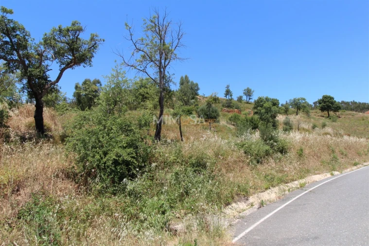 Terreno Misto para Venda em Alferce Foto 5