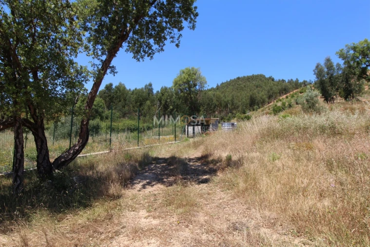 Terreno Misto para Venda em Alferce Foto 8