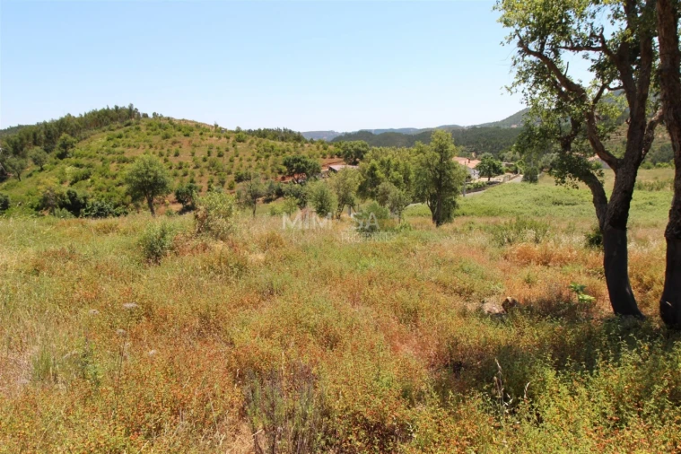 Terreno Misto para Venda em Alferce Foto 9