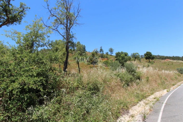 Terreno Misto para Venda em Alferce Foto 14