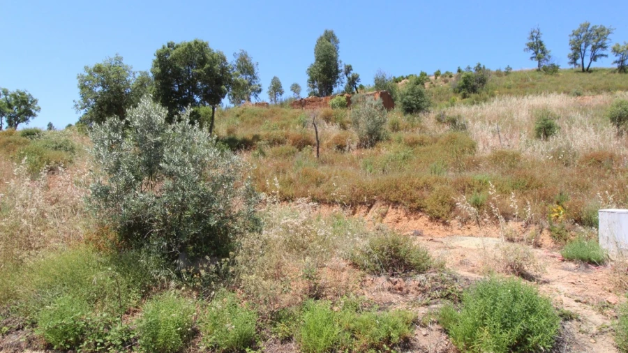 Terreno Misto para Venda em Alferce