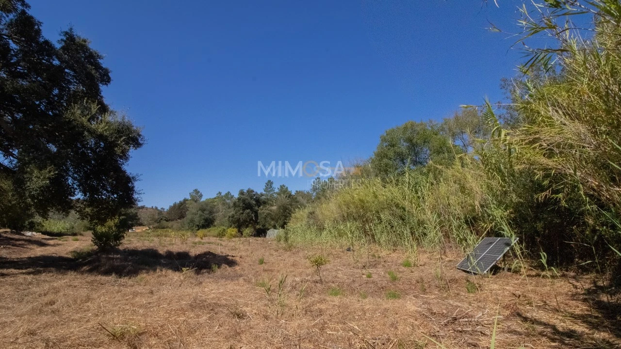 Quinta T4 para Venda em Aljezur Foto 5