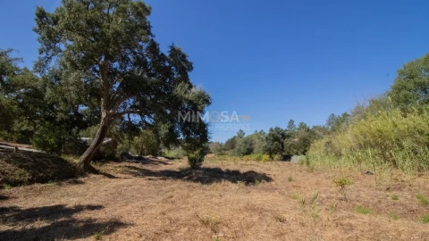 Quinta T4 para Venda em Aljezur