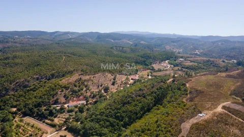 Quinta T4 para Venda em Aljezur