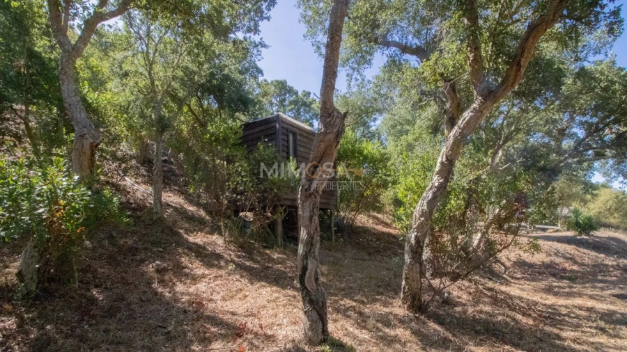 Quinta T4 para Venda em Aljezur Foto 7