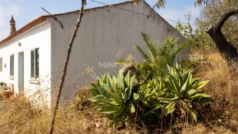 Quinta T4 para Venda em Lagos (São Sebastião e Santa Maria)