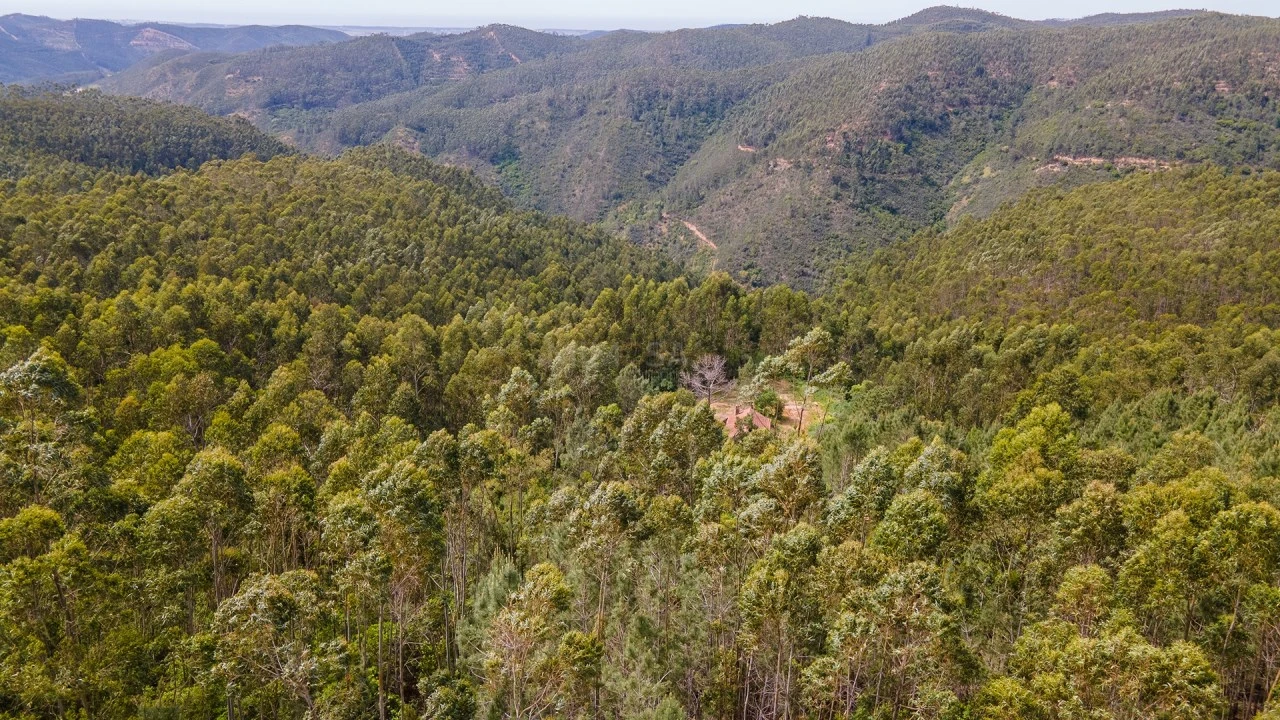 Terreno Misto para Venda em Marmelete Foto 6