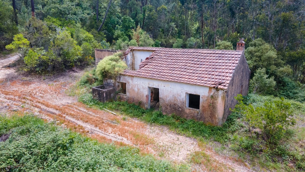 Terreno Misto para Venda em Marmelete Foto 4