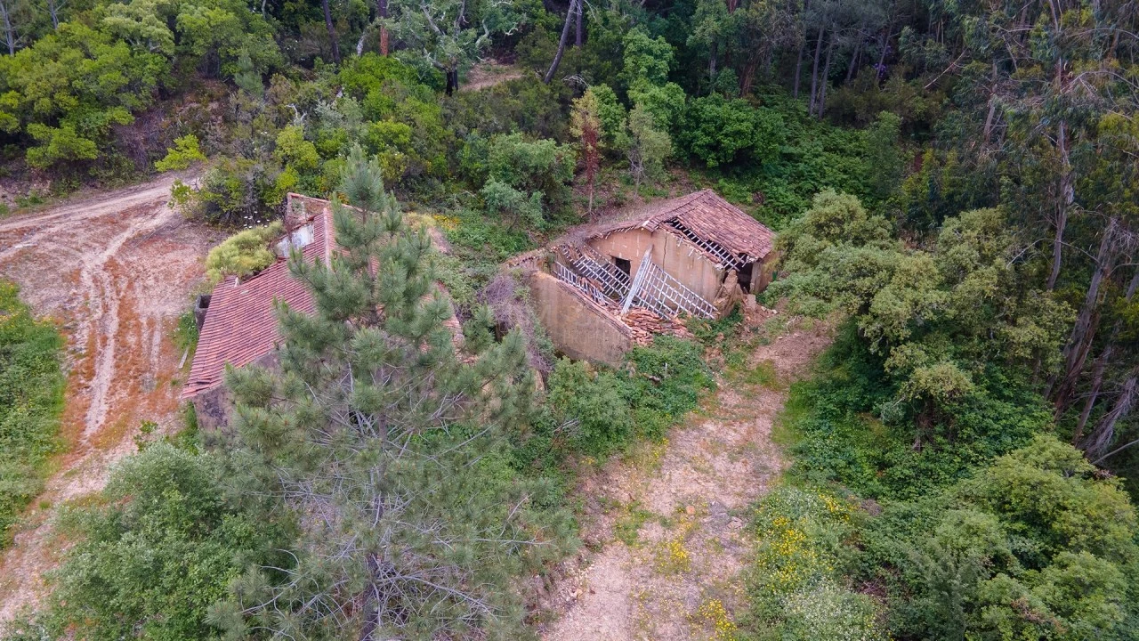 Terreno Misto para Venda em Marmelete Foto 11
