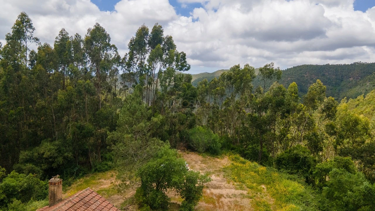Terreno Misto para Venda em Marmelete Foto 13
