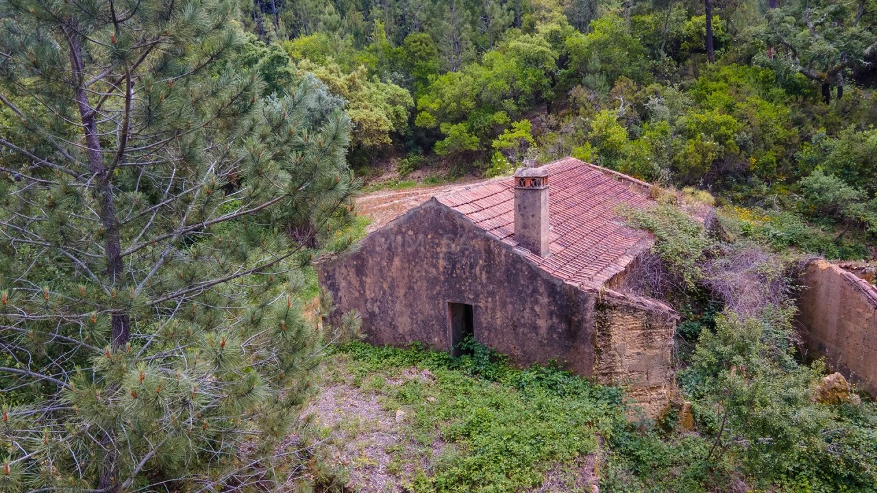 Terreno Misto para Venda em Marmelete Foto 14