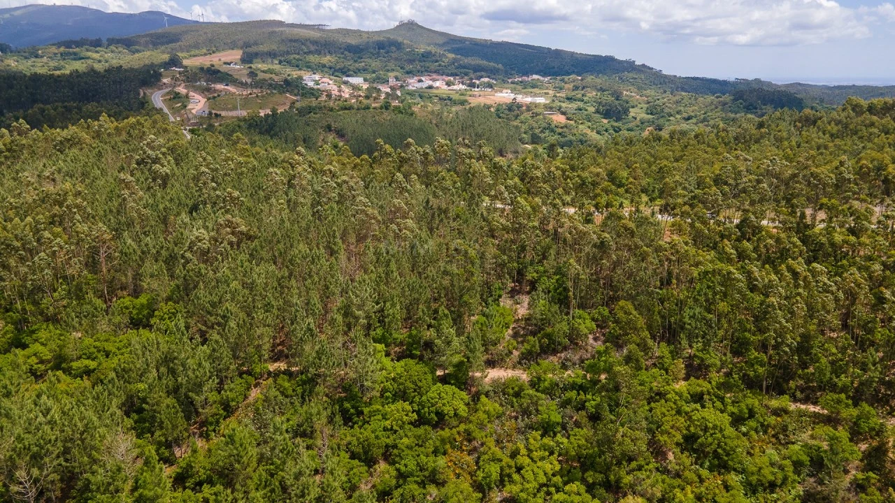 Terreno Misto para Venda em Marmelete Foto 15