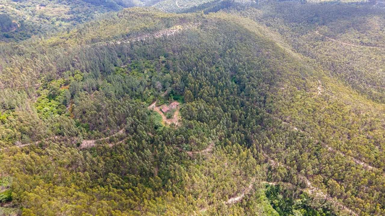 Terreno Misto para Venda em Marmelete Foto 18