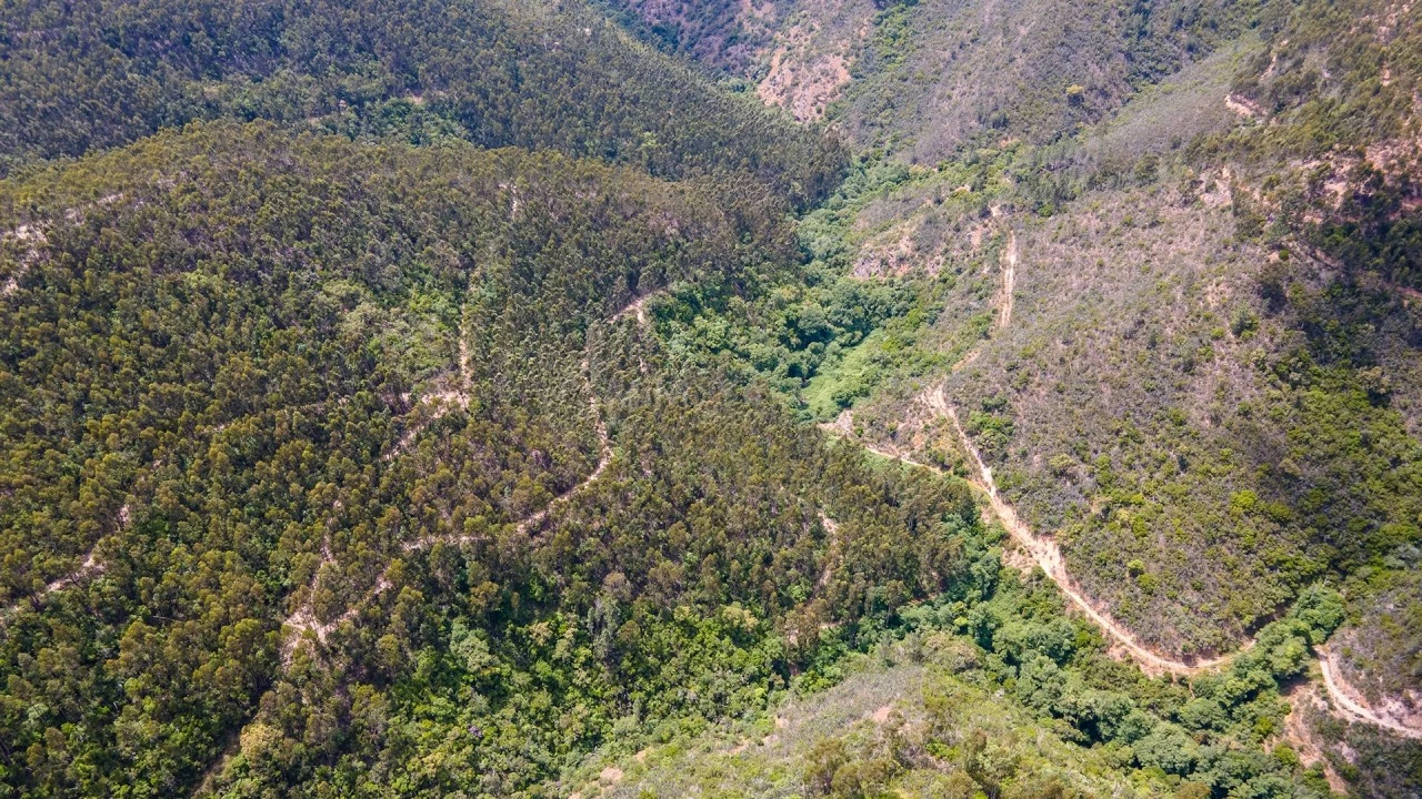 Terreno Misto para Venda em Marmelete Foto 19