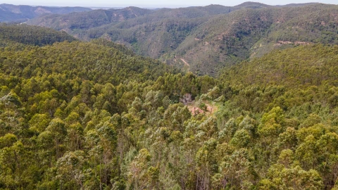 Terreno Misto para Venda em Marmelete