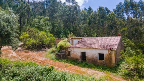 Terreno Misto para Venda em Marmelete